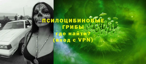 шишки Нефтегорск