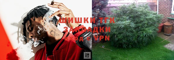 шишки Нефтегорск