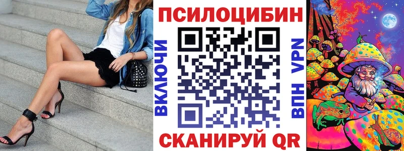 купить закладку  Нижневартовск  Псилоцибиновые грибы мицелий 