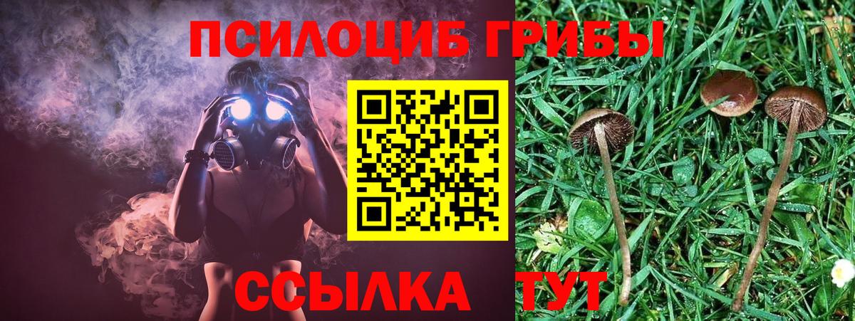 Псилоцибиновые грибы GOLDEN TEACHER  Галлюциногенные грибы мицелий  Нижневартовск  Вход с VPN 